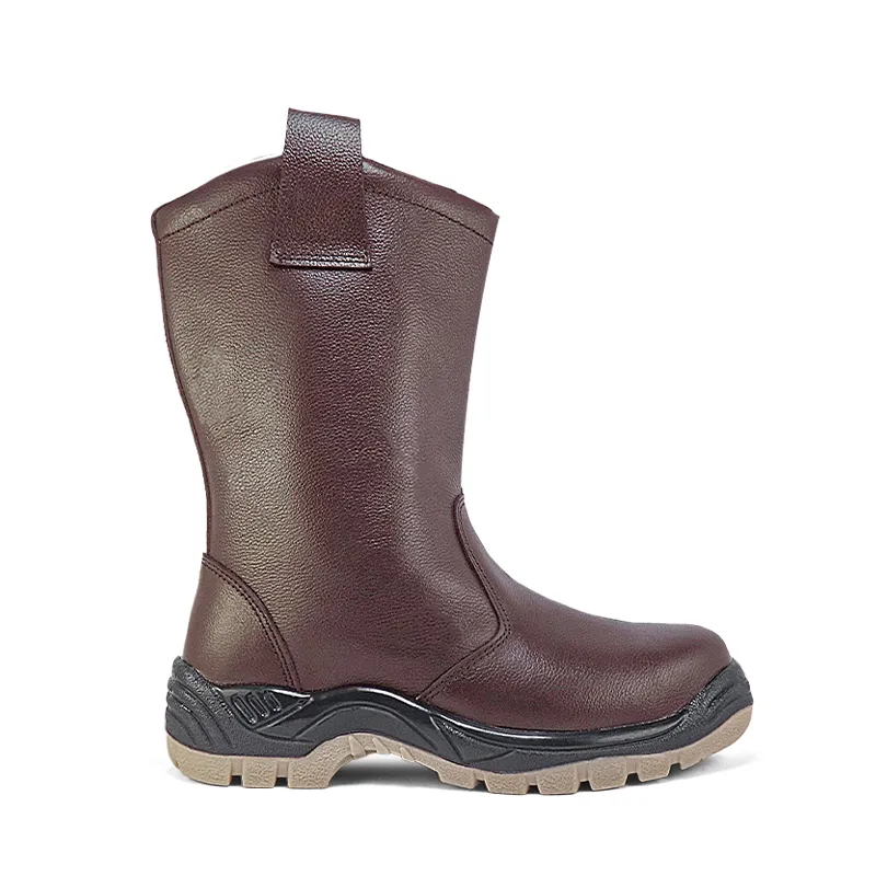 BOTA CAMPERA BS25 - CAD - EXTERIOR