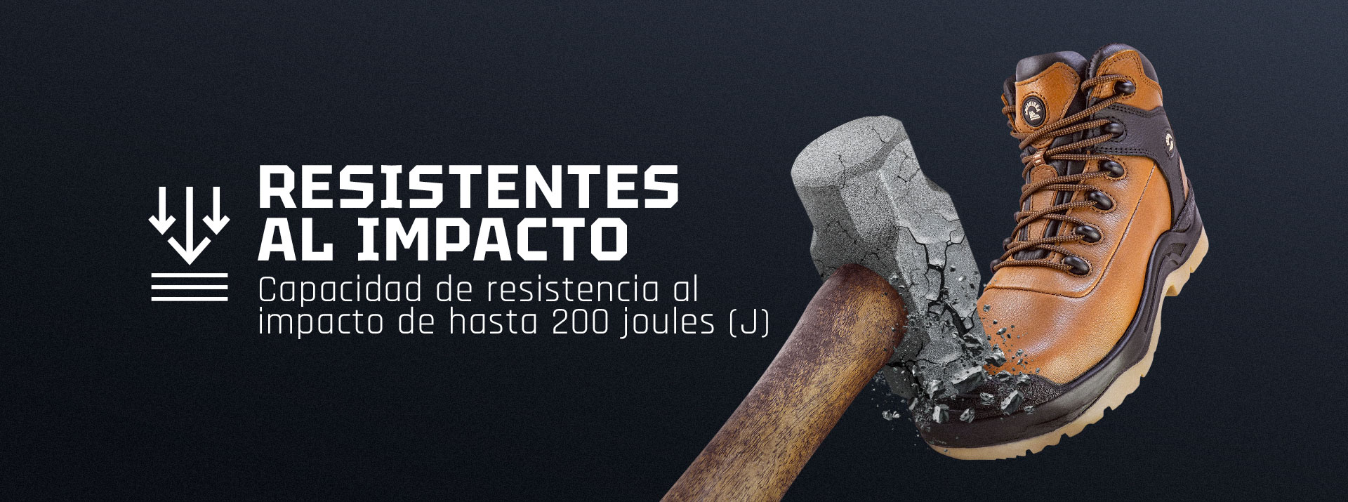 zapato de seguridad acero